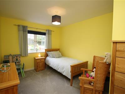 Picture 28